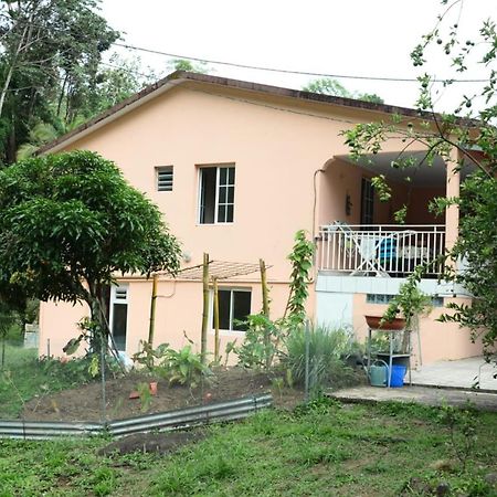 Maison Lavanne Saint-Joseph Εξωτερικό φωτογραφία