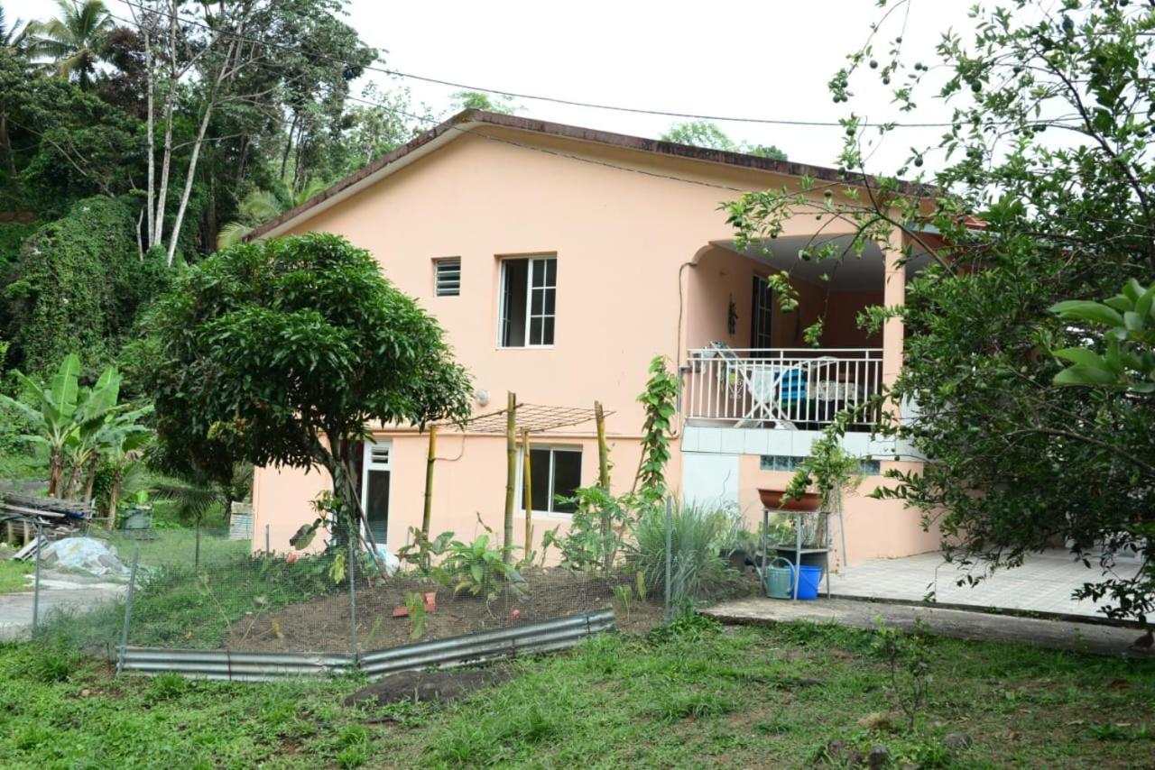 Maison Lavanne Saint-Joseph Εξωτερικό φωτογραφία
